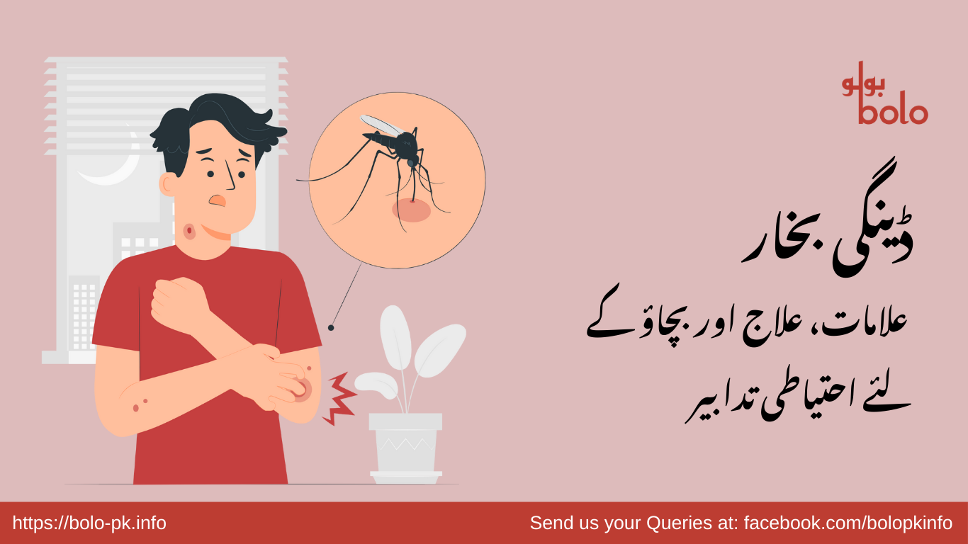 Dengue Virus Urdu.png