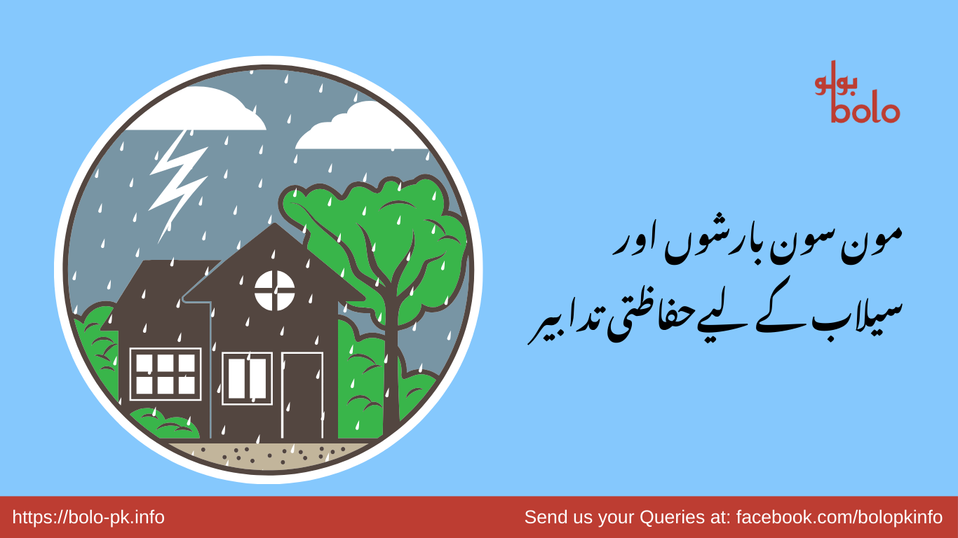 Monsoon Precautions Urdu.png