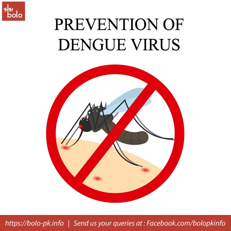 How to prevent dengue.jpg