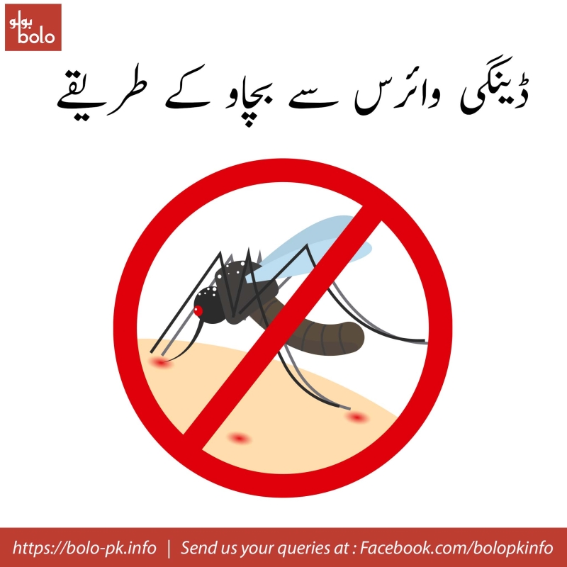 Dengue fever.jpg
